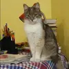 Отзыв от Эмма Лаптева